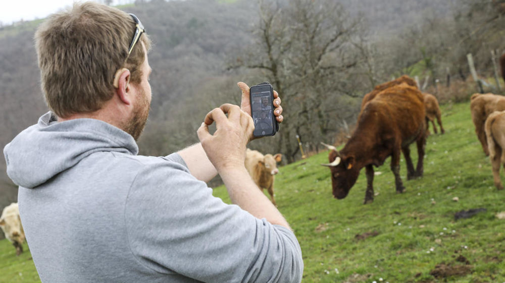 Un éleveur de vaches sourd dans le Lot-et-Garonne utilise la réunion en  visio pour communiquer avec sa femme en langue des signes.